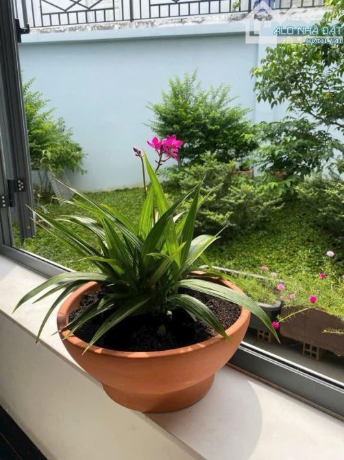💥 Nhà C4 mặt tiền đường Tân Thới Nhì 09 Hóc Môn.Dt 230m2 6,5m ×35m giá 9, 1Tỷ - 1