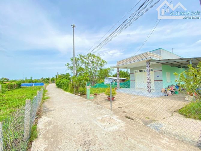 145m2 (5*29) Long Sơn Cần Đước giá chỉ 870tr SHR - 1