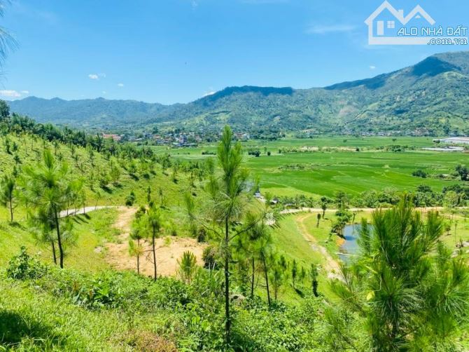 BÁN ĐẤT SƯỜN ĐỒI 1,6HA – YÊN XUÂN, HÒA LẠC – VỊ TRÍ ĐẮC ĐỊA ĐẦU TƯ SINH LỜI - 1
