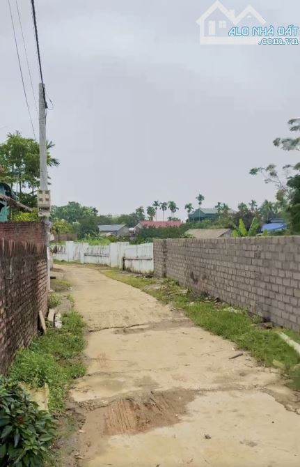 🌟 BÁN ĐẤT ĐẸP 150m² – YÊN BÌNH, THẠCH THẤT – ĐƯỜNG THÔNG OTO,  GIÁ CỰC HỢP LÝ - 1