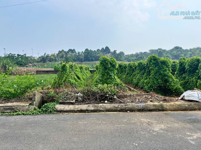 117m full thổ cư  TĐC Đồng Doi  Điểm Cuối Gametro số 5 - 1