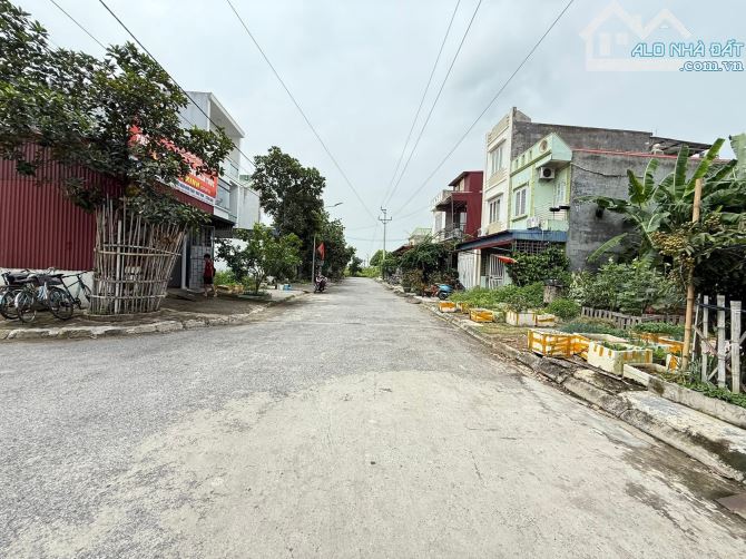 🧨Lô đất 84m đường thông, rộng 14m tại Quỳnh Hoàng, Nam Sơn, An Dương-chỉ hơn 2 tỷ - 1