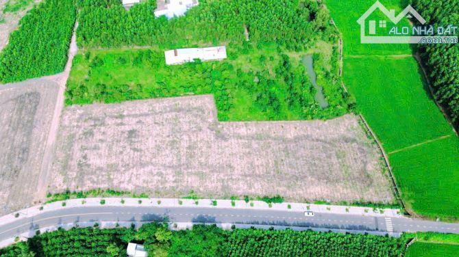 TUYỆT PHẨM DÀNH CHO PHÂN LÔ, ĐƯỜNG NHỰA LỚN, MẶT TIỀN NHIỀU, PHỦ HỒNG, VỈA HÈ, CÂY XANH - 1