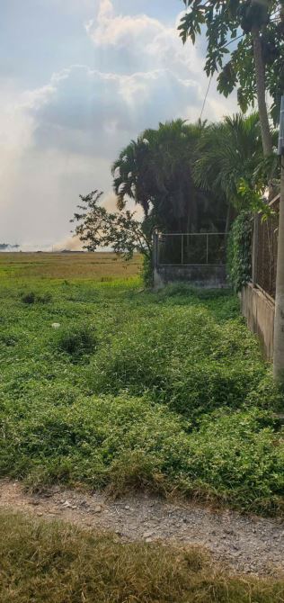 Xuân Thới Sơn (HM) bán gần 1.000m2 sẵn thổ cư ngang 17m gần Nguyễn Văn Bứa giá 10,7tỷ - 1