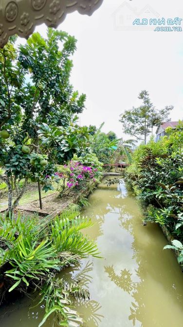 Homstay nghĩ dưỡng hơn 3000m2 view sông mát mẻ - 13
