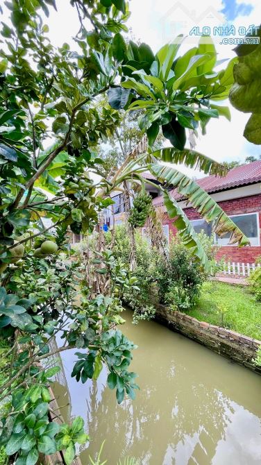 Homstay nghĩ dưỡng hơn 3000m2 view sông mát mẻ - 14