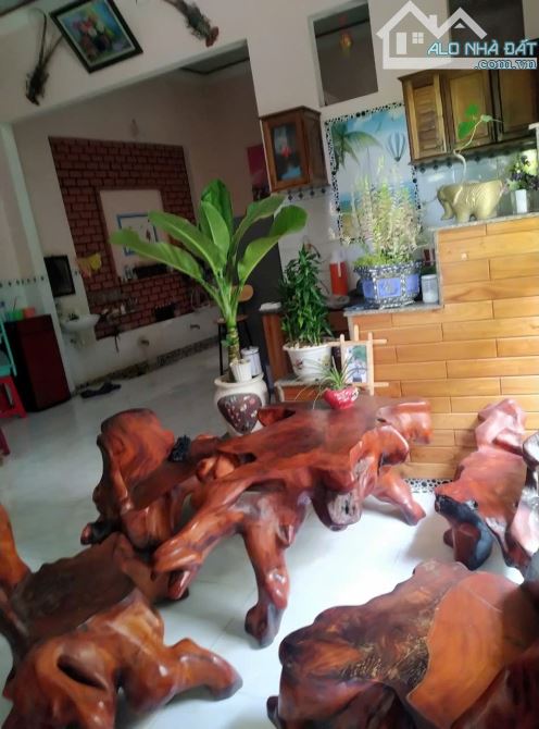 Bán đất kèm biệt thự phường An Nhơn Đông(Nhơn Hưng cũ) - 14