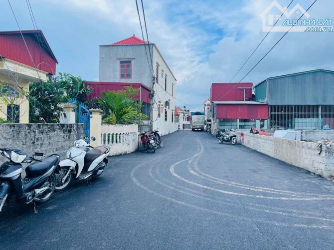 Bán đất Phong Cầu - Đại Đồng - Kiến Thụy - Hải Phòng - 2