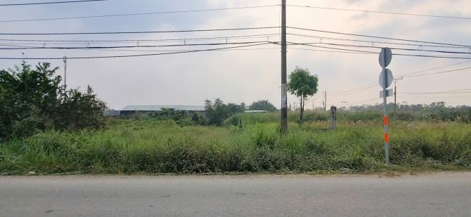 Bán gấp MTKD Trần Đại Nghĩa 1037m ngay vành đai 3 TPHCM giá 8,5 tỷ Thương Lượng chính chủ - 2
