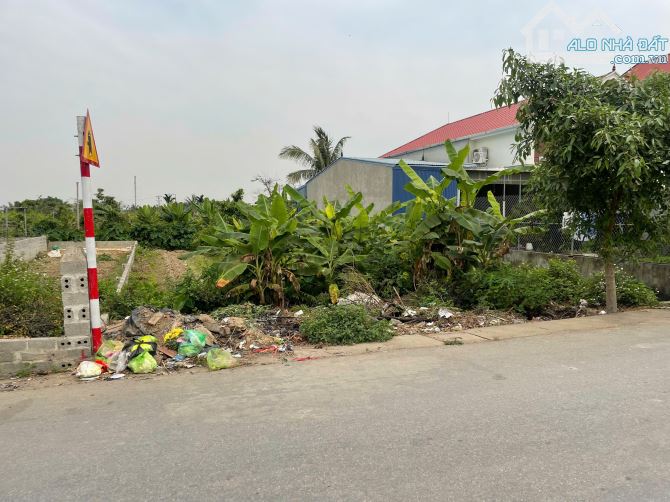 Bán lô đất 135m2 ngang 5m đường trục xã Đại Đồng Kiến Thụy Hải Phòng giá 3,x tỷ - 2