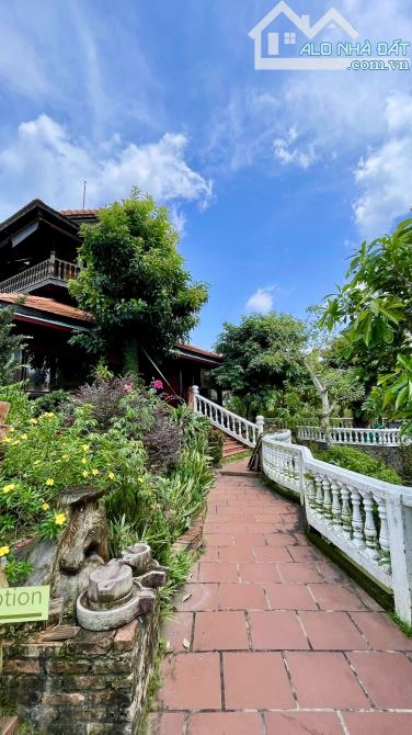 Homstay nghĩ dưỡng hơn 3000m2 view sông mát mẻ - 2