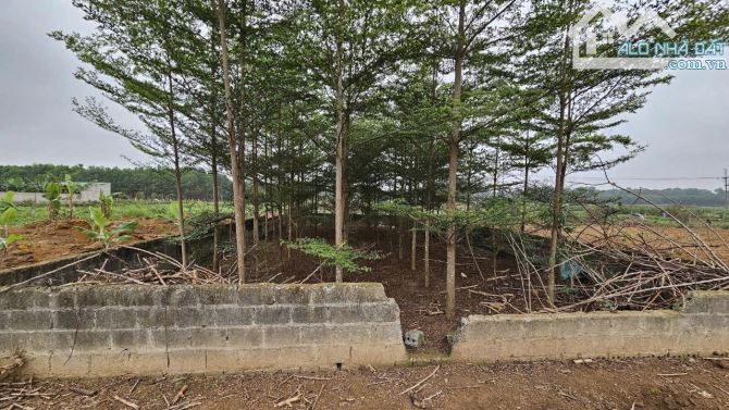 Bán đất giãn dân khu Cà Cà gần sân Golf đồng mô tại Sơn Đông. Giá đầu tư - 2