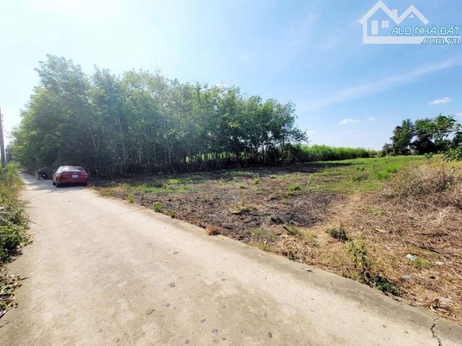 Bán Đất DT 5200M2 View Sông Đồng Nai -  Bình Lợi - Vĩnh Cửu - 2