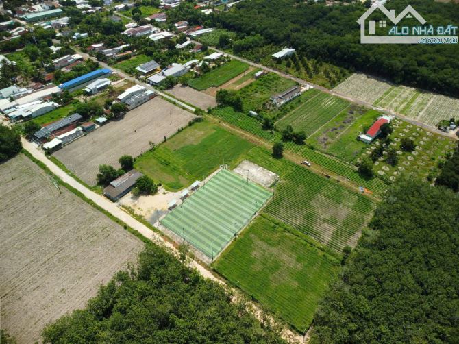 Bán đất ở đường Nguyễn Minh Châu thị trấn Tân Châu Tây Ninh - 2