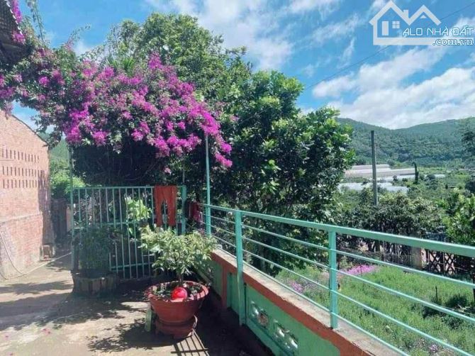BÁN ĐẤT CAM LY ĐÀ LẠT - 8010M2, 338M2 THỔ CƯ, QUY HOẠCH FULL THỔ, GẦN CÁC ĐIỂM DU LỊCH - 2