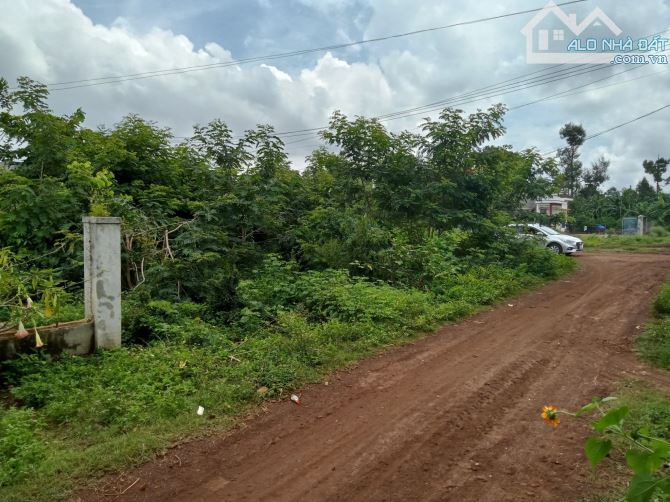 ■ LÔ GÓC NGÃ TƯ 10X20 (M) SỔ ĐỎ, HÒA ĐÔNG – KRÔNG PẮC, KHU TARA TOWN - 3