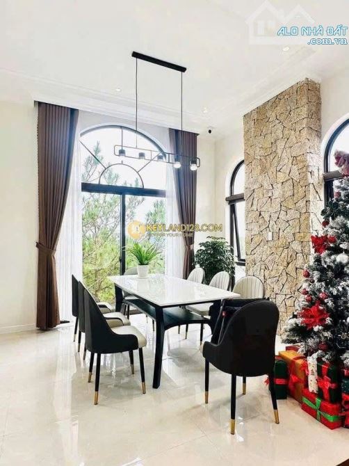 BÁN VILLA 4 TẦNG (224M², NGANG 11.56M) VIEW RỪNG THÔNG – KINH DOANH TỐT - 2