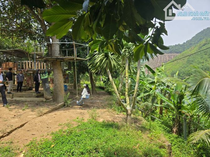 🌿 NHÀ VƯỜN GẦN 5.000M² – VIEW SÔNG CU ĐÊ – KHÔNG GIAN SỐNG XANH TẠI HÒA BẮC - 2