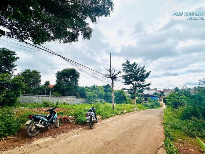 ĐẤT GIÁ RẺ NHẤT TÂN AN 🌼 Hẻm 92 Nguyễn Xuân Nguyên phường Tân An - 2