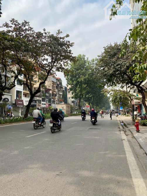 Bán đất MP Kim Mã 620m2-mặt tiền 18m Đẹp nhất phố–không có mảnh thứ 2. - 2