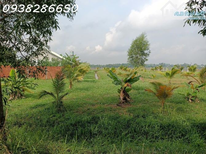 Bán Mảnh Đất tại xã Trung Lập Hạ H Củ Chi rộng; 3375m2 , Giá 9,2 Tỷ TL - 2