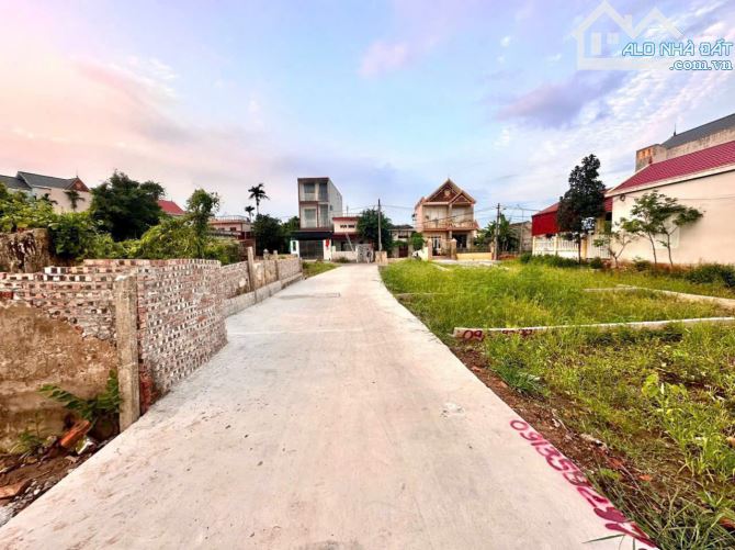 Chính chủ gửi bán lô đất tại Bàng La Đồ Sơn Hải Phòng - 2