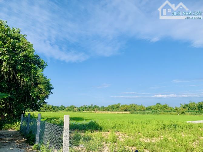 Điện Phương - View Lúa Trực Diện - Cách Hội An 5km - 1100m2 - MT 22m - Oto - 3ty2. - 2