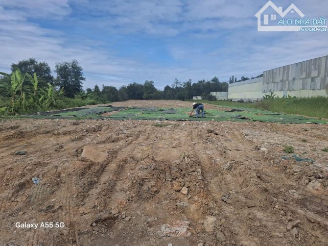 Bán 2500m2 đất có thổ cư đường Võ Hữu Lợi, Huyện Bình Chánh, TP HCM - 2