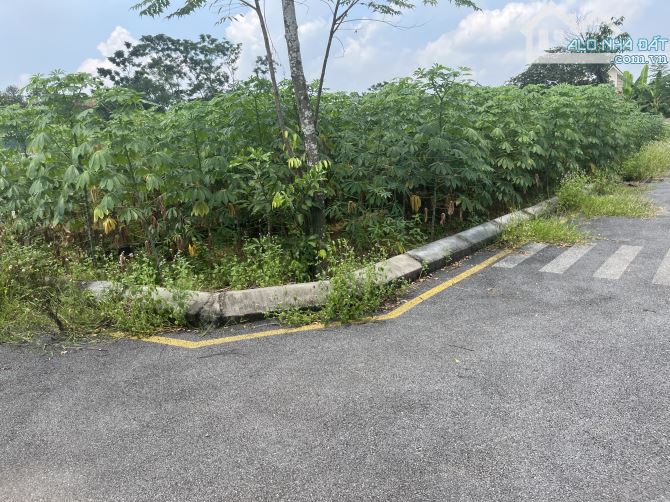 🔥 Bán đất góc 2 mặt thoáng Sen Trì – 61m² – Đường ô tô tránh cực - 2