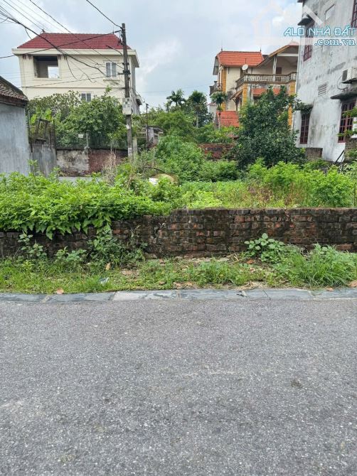 🏡 ĐẤT ĐẸP CHO TỔ ẤM NHỎ – 50M² vuông vắn , hiếm có ! MAI LÂM, ĐÔNG ANH 🏡 - 2