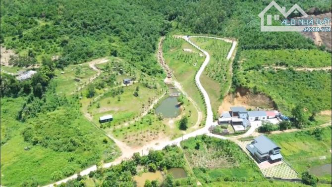 BÁN ĐẤT SƯỜN ĐỒI 1,6HA – YÊN XUÂN, HÒA LẠC – VỊ TRÍ ĐẮC ĐỊA ĐẦU TƯ SINH LỜI - 2
