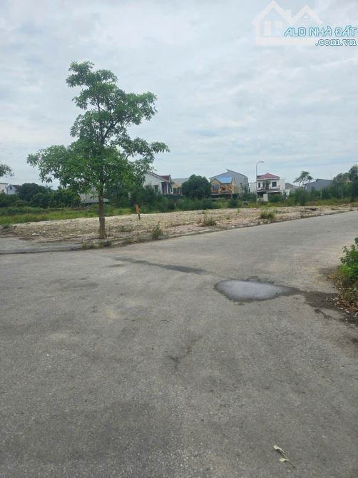 Bán lô 142m2 khu đấu giá khối 6 Quán Bàu, ngõ đường Hàn Quốc, TP Vinh - 2