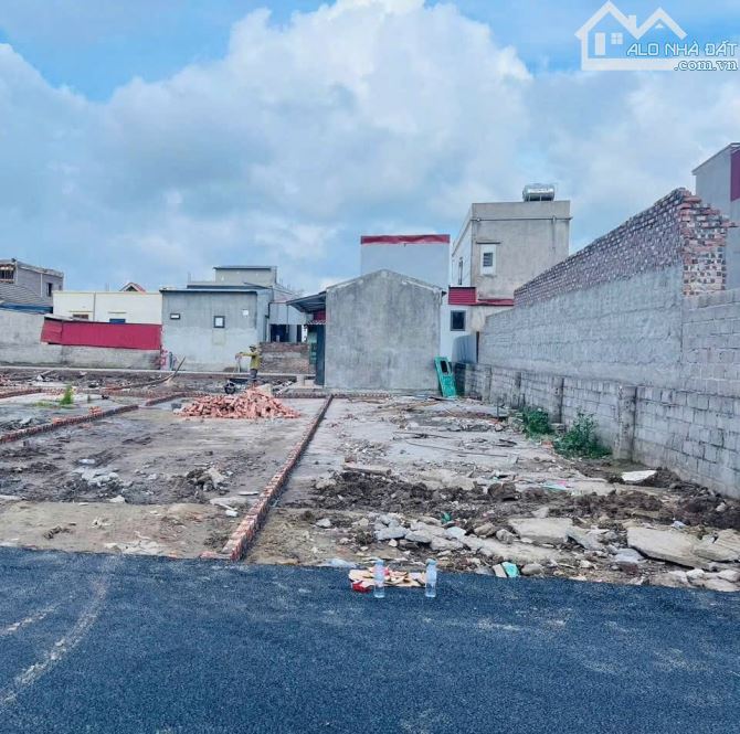 Bán đất Phong Cầu - Đại Đồng - Kiến Thụy - Hải Phòng - 3