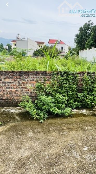 🔥 BÁN ĐẤT SIÊU ĐẸP – VỆ LINH ,PHÚ LINH, SÓC SƠN, HÀ NỘI 🔥 📏 Diện tích: 197m² – Mặt tiền - 3