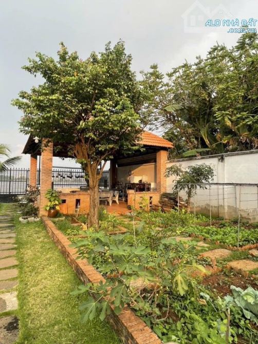 Bán đất vườn biệt thự view sông Đồng Nai, phường Biên Hoà - 3