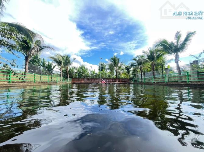 1500m2 đất + nhà vườn tuyệt đẹp tại Thôn 2, Phường Eakao - BMT - Giá cực tốt - 3