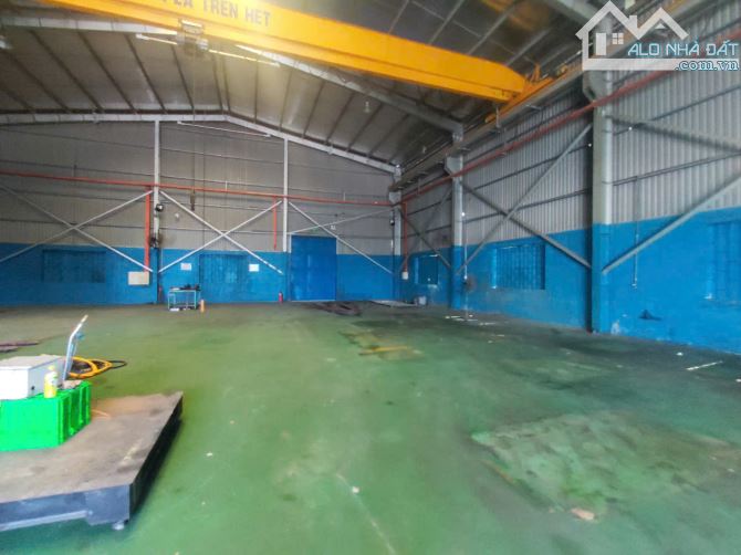 CHO THUÊ KHO XƯỞNG 6000m2 ĐƯỜNG CONTAINER GẦN KCN AN HIỆP,CHÂU THÀNH,BẾN TRE - 3