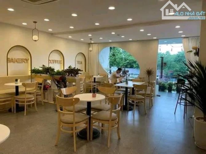 BÁN TÒA APARTMENT 7 TẦNG MẶT PHỐ NGHI TÀM, VIEW HỒ TÂY, DT 154M MT 8.1M KD 125TR/THÁNG. - 3