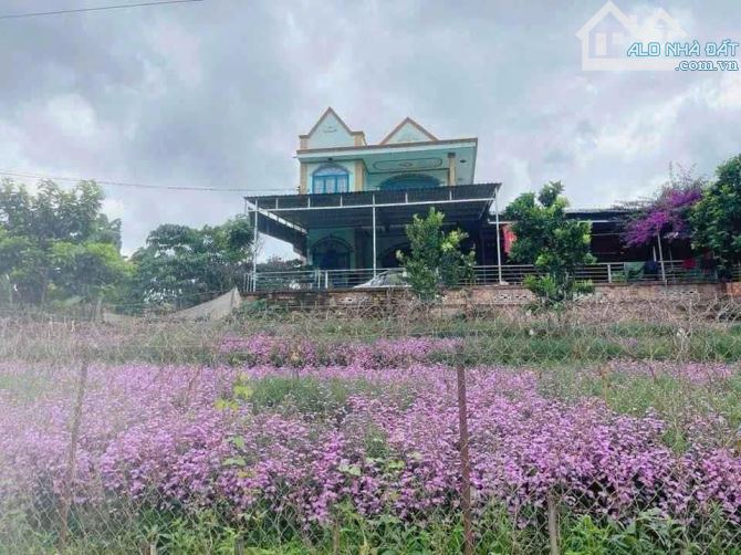 BÁN ĐẤT CAM LY ĐÀ LẠT - 8010M2, 338M2 THỔ CƯ, QUY HOẠCH FULL THỔ, GẦN CÁC ĐIỂM DU LỊCH - 3