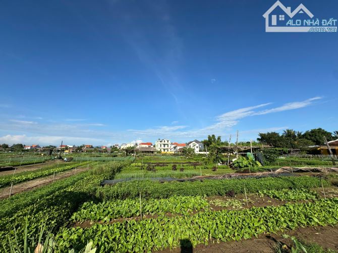 Đất Ngay Khu Làng Rau Trà Quế – Hội An – Vị Trí Đẹp - Tiềm Năng Đầu Tư Khai Thác Du Lịch - 3