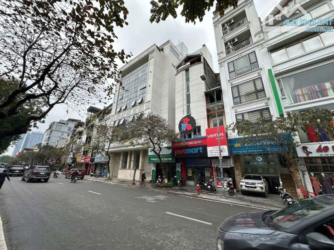 Bán đất MP Kim Mã 620m2-mặt tiền 18m Đẹp nhất phố–không có mảnh thứ 2. - 3