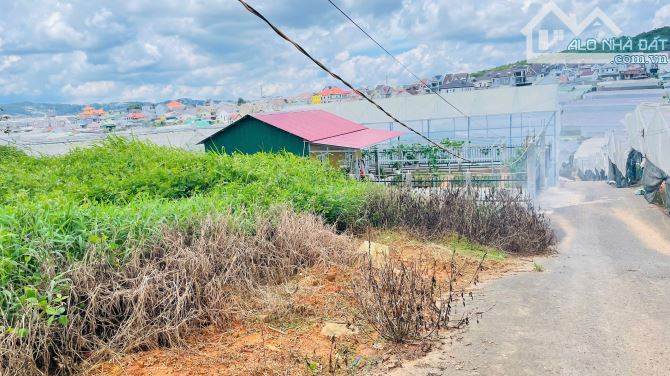 ✨🏡✨ CẦN BÁN ĐẤT ĐƯỜNG THÁI PHIÊN – P.12 – ĐÀ LẠT ✨🏡✨ - 3