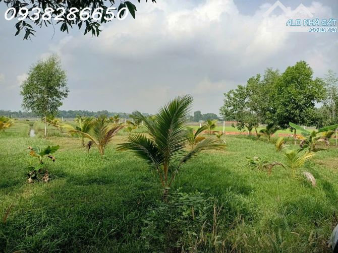 Bán Mảnh Đất tại xã Trung Lập Hạ H Củ Chi rộng; 3375m2 , Giá 9,2 Tỷ TL - 3