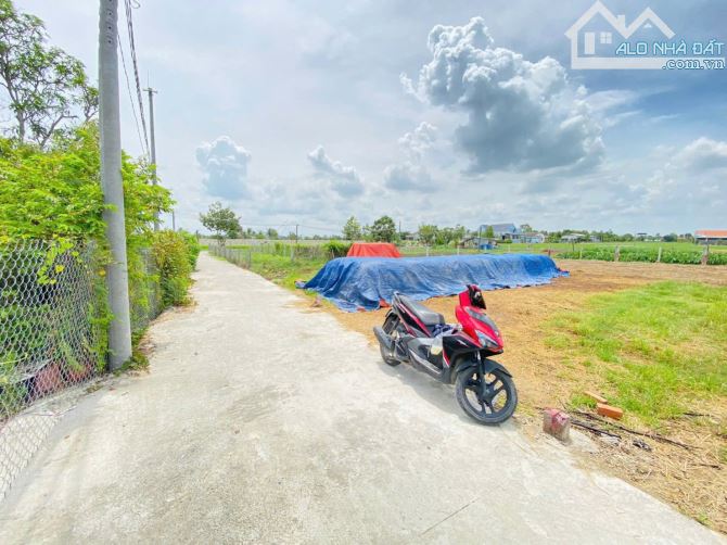 145m2 (5*29) Long Sơn Cần Đước giá chỉ 870tr SHR - 3