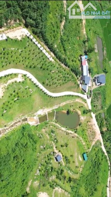 BÁN ĐẤT SƯỜN ĐỒI 1,6HA – YÊN XUÂN, HÒA LẠC – VỊ TRÍ ĐẮC ĐỊA ĐẦU TƯ SINH LỜI - 3