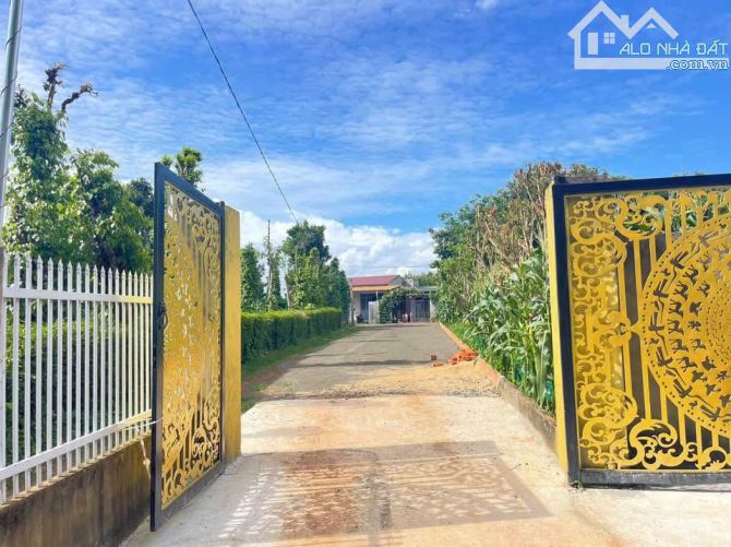 1500m2 đất + nhà vườn tuyệt đẹp tại Thôn 2, Phường Eakao - BMT - Giá cực tốt - 4