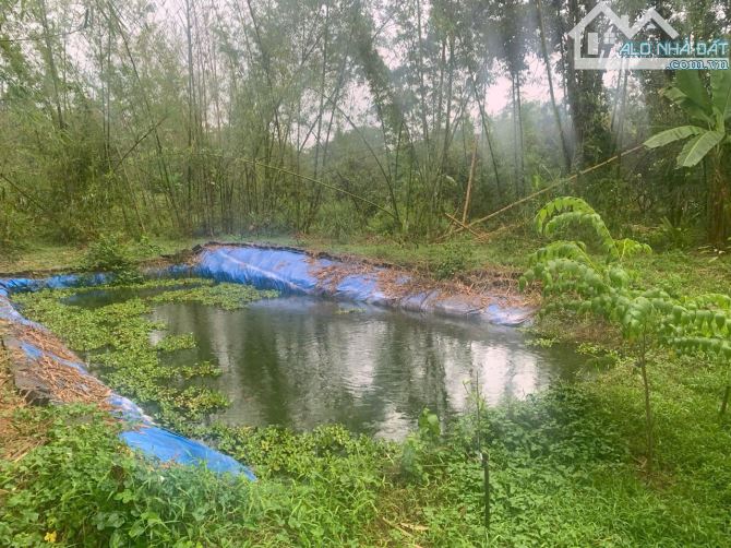 Bán Nhà Vườn Cây Ăn Trái 4000 m2 ở Xuân Quế,  Cẩm Mỹ Tỉnh Đồng Nai.  • Hiện trạng giống nh - 4