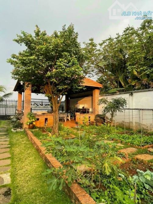 Nhà Vườn Nghỉ Dưỡng View Sông ( P. Bửu Hoà Cũ ) nay thuộc Phường Biên Hoà - Đồng Nai - 4