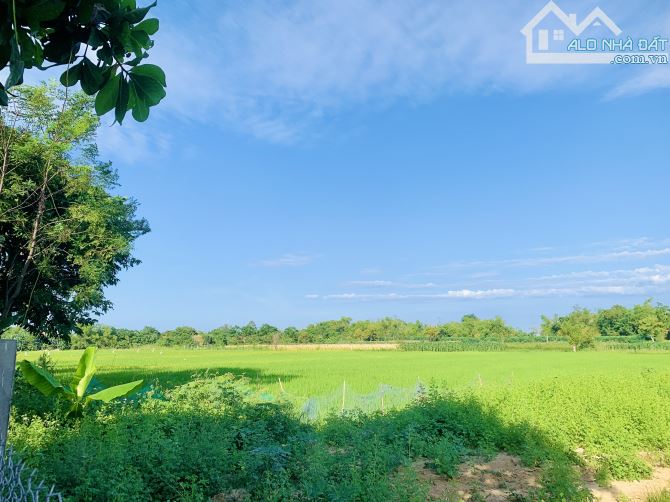 Điện Phương - View Lúa Trực Diện - Cách Hội An 5km - 1100m2 - MT 22m - Oto - 3ty2. - 4