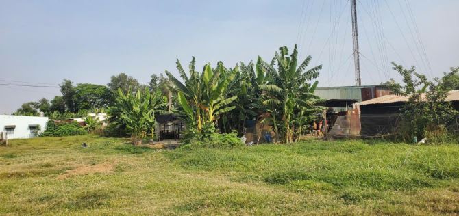 Xuân Thới Sơn (HM) bán gần 1.000m2 sẵn thổ cư ngang 17m gần Nguyễn Văn Bứa giá 10,7tỷ - 4